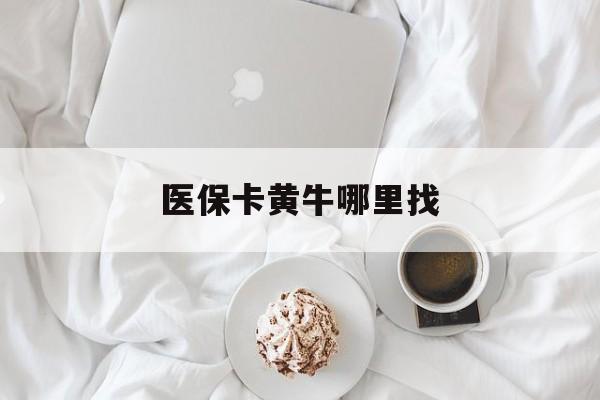 浮梁最新医保卡黄牛哪里找方法分析(最方便真实的浮梁医保卡的事情去哪里咨询方法)